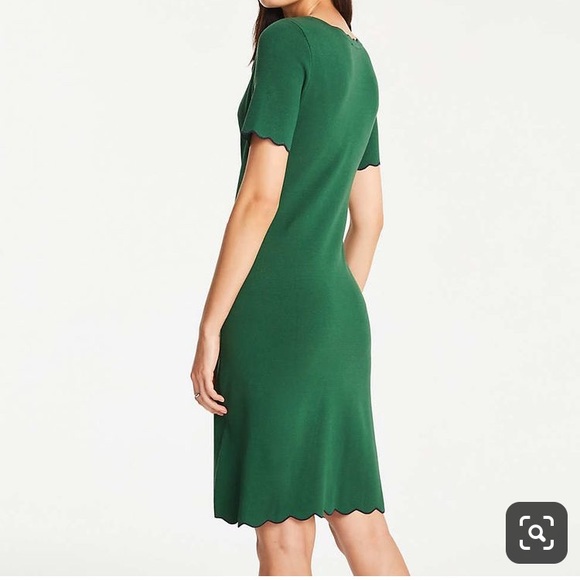Ann Taylor Petite Scalloped Sweater Dress - Picture 5 of 12